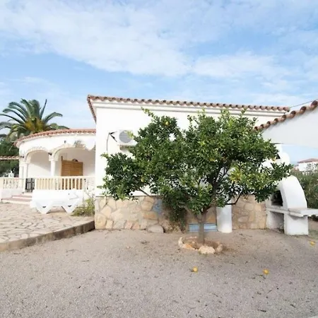 Palmera Iv
