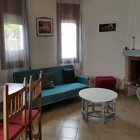 Palmera Iv *