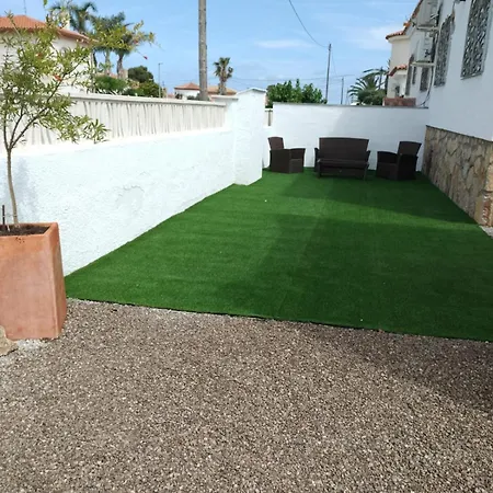 Palmera Iv